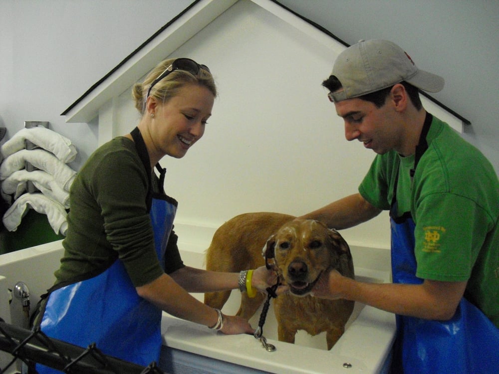 self-service-dog-wash-marietta-ga-30066